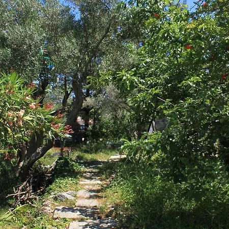 Apartment Apartment Valun 386A