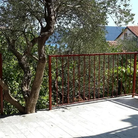 Apartment Valun 386A Apartment *